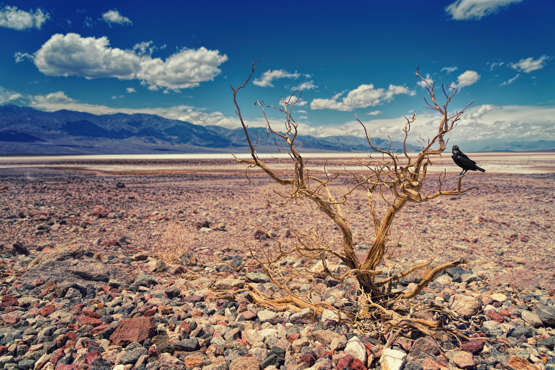 Droughts in the US: Understanding the Impacts, Challenges, and Solutions